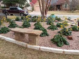 See more ideas about georgetown tx, georgetown, georgetown texas. Landscaping Company Georgetown Tx The Gardener