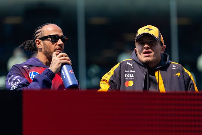 Anthony Davidson saw Lewis Hamilton and Lando Norris make the exact same  mistake in Dutch GP Sprint