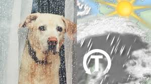 Im mai stehen die eisheiligen an. Die Eisheiligen Schlagen Zu Wetter De