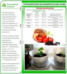 когда сажать помидоры на рассаду по лунному календарю 2019 Kogda Sazhat Pomidory Na Rassadu V 2019 Godu Po Lunnomu Kalendaryu Blagopriyatnye Dni S Izobrazheniyami Pomidory Ovoshi Vyrashivanie Ovoshej
