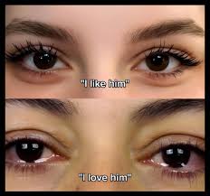 me: i think i need some exercise. also me the whole day: