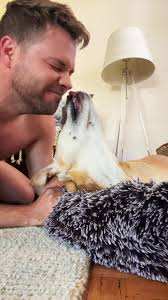 Any trend to bug my dogs I’ll do #fyp #taylorswift