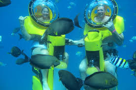 Scuba Diving In Hawaii Best Of Oahu