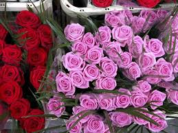 Maybe you would like to learn more about one of these? Columbia Road Flower Market A Londoners Guide To Beating The Queue And Grabbing A Bargain