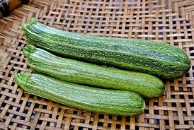 Events in venice have now spread up into san pasquale as assassins descend on the village searching for someone special, whose identity they do not know, but seek only as an outsider. Zucchini San Pasquale Organic Adaptive Seeds Zucchini Seeds Southern Italy