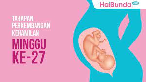 Pagi buntel mami #27pregnants, tulis vanessa. Tahapan Perkembangan Janin Minggu Ke 27