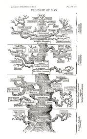 File Pedigree Of Man English Jpg Wikimedia Commons