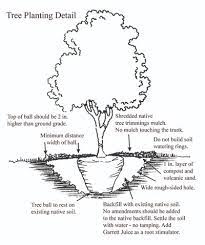 To get the best soil for cherry trees, you need to fertilize your soil at least once a year. Dirt Doctor Library Topics
