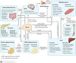 Methotrexate interferes with the growth of certain cells of the body, especially cells that reproduce quickly, such as cancer cells, bone marrow cells, and skin cells. Cachexia Wikipedia