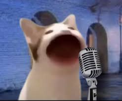 Download popcat hd and enjoy it on your iphone, ipad, and ipod touch. ð'ƒð'œð' ð'ð'Žð'¡ Pop Cat Vintage Microphone Cats