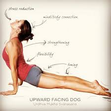 Yoga For Stress Reduction Easy Yoga Poses Yoga Poses For Beginners Easy Yoga