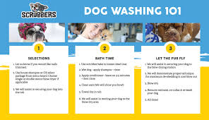 A local dog washer can bring along their mobile dog washing trailer, containing. Do It Yourself Dog Wash Self Serve Dog Grooming