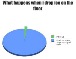 what happens when i drop ice on the floor pie chart random