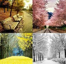 Setiap musim mempunyai pemandangan dan tarikan yang berbeza. Cuti Cuti Bajet Panduan Bercuti Di Korea Mengikut 4 Musim Kita Semua Tahu Korea Mempunyai 4 Musim Iaitu Musim Sejuk Winter Musim Bunga Spring Musim Panas Summer Musim Luruh Fall