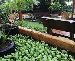 Taman halaman rumah yang ditata dengan baik bisa menjadi spot favorit bagi seluruh penghuni rumah. Laman Rumah Tanam Macam Macam Pokok Nampak Cantik Lelaki Ni Kongsi Tipnya Keluarga