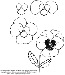 Flower Drawing Flower Drawing Tutorials Easy Flower Drawings
