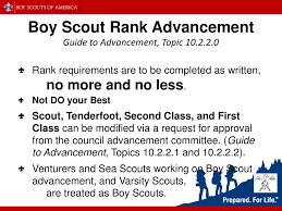 Working With Scouts With Disabilities Ppt Download