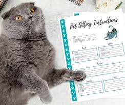 Reading all the cat names. The Ultimate List Of Black Cat Names 800 Unique Popular Famous Names For Your Black Cat Or Kitten Meows N Paws