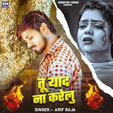 Ali Ka Sher Hoon by Aarif Raja: Listen