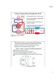 Dealing with federal dot regulations across the board is tough enough! Path Of Blood Flow Through The Cvs Physical Laws Governing Blood