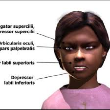 PDF) Finding the truth: interview and interrogation training simulations