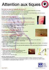 Sommaire maladie de lyme : Msa Sante Securite En Agriculture Attention Aux Tiques