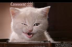 Obrazek