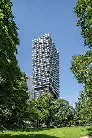 Image result for Melia