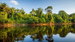 Jun 20, 2021 · de situatie in suriname is ernstig: Vakantie Suriname De Mooiste Suriname Reizen Anwb