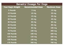 How Much Benadryl Can I Give My Dog Before Harming Them Dog Benadryl Benadryl For Dogs Dosage Dog Remedies
