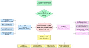 Navigating Body Perception, Affectivity, Intimacy, Gender Identity, and  Sexuality: An Exploratory Qualitative Study in Young Adults with SMI, IDs,  and ASD in a Community Setting