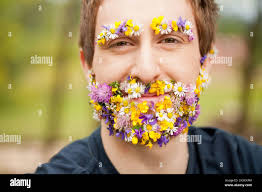 Flower beard hi-res stock photography and images