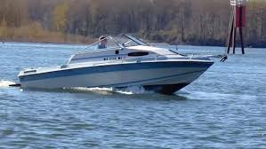 Image result for Caledonia Blue 1990 Summit