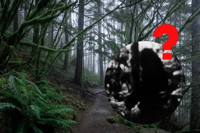 25 of America's greatest unsolved mysteries | loveexploring.com