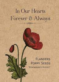 In Our Hearts Remembrance Memorial Flanders Poppy Seed Favor Seed Favors Flanders Poppy Remembrance