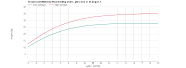 Growth Malinois Shepherd Dog Puppy Weight Chart Malinois