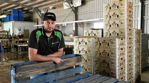 Bundy sweet potato grower takes agent fight to Sydney