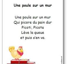 Epingle Sur Poule Poussin