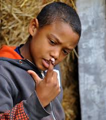 Your 2015 Field-to-Fork Program Report