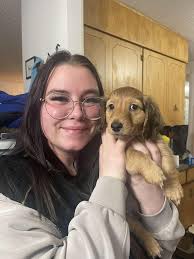 New Dachshund Owner Shares Experience