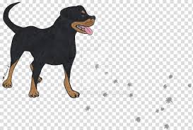 Dog Paw Manchester Terrier Rottweiler Razas Nativas
