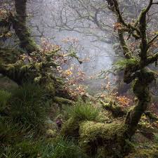 Covenant Of The Goddess Timeline Nature Photography Beautiful Landscapes Beautiful Nature