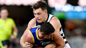 Here on sofascore livescore you can find all brisbane lions vs geelong cats previous results sorted by their h2h matches. Nm0izm8opwpfgm