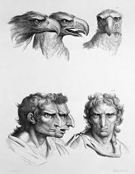 What Would Humans Look Like If They Evolved From Different Animals Animals Drawings Renaissance Era