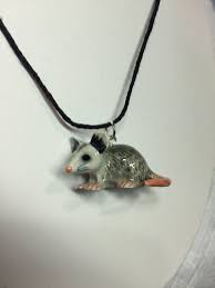 Pin On Opossum Love