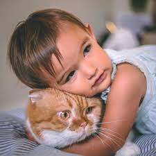 BEST of Queens, NY 11375 Cat Breeders