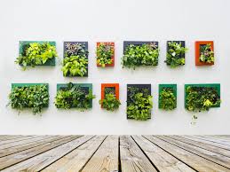 Indoor vertical herb gardens are also great way to grow fresh ingredients in the kitchen without crowding the counters. 35 Creative Ways To Plant A Vertical Garden How To Make A Vertical Garden