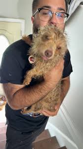 Lost Dog in Halifax County Area