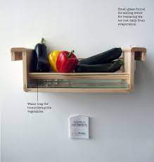 Shaping Traditional Oral Knowledge Humidity Of Fruit Vegetables We Tend To Think Zucchini Aubergine Cucumber Etc As Vege Save Food Food Storage Food Store