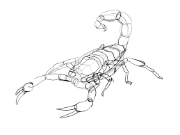 Pin On 3d Drawing Blocking